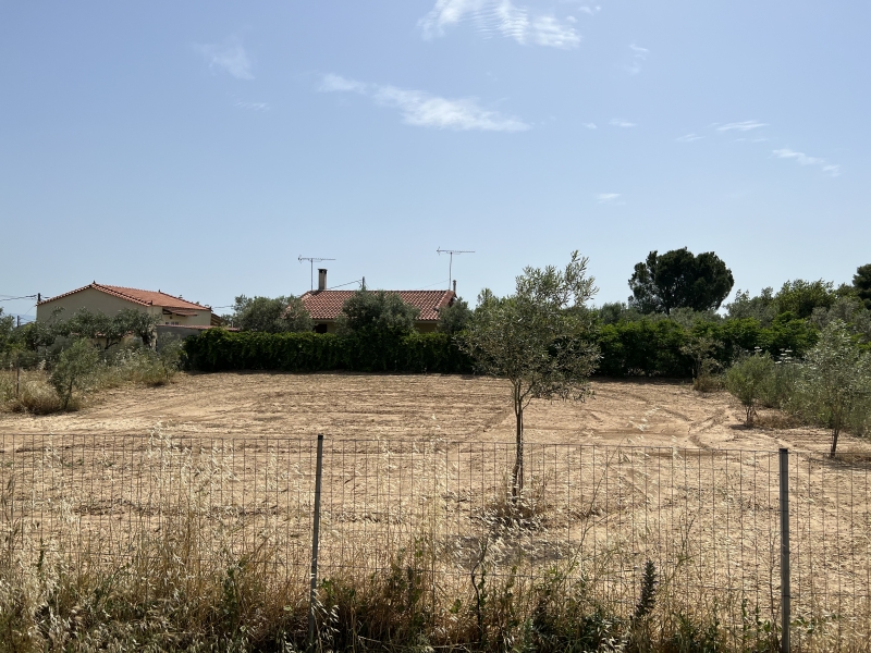 property-img