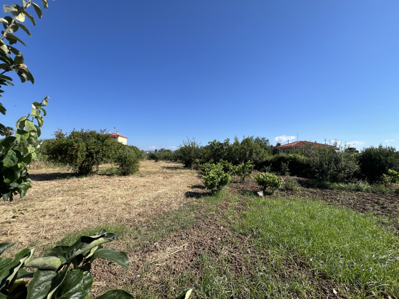property-img