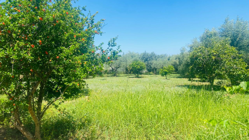 property-img