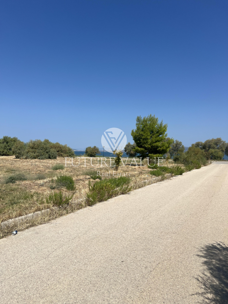 property-img